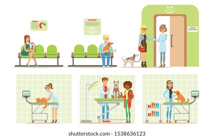 Trip to the vet cartoon vector illustration