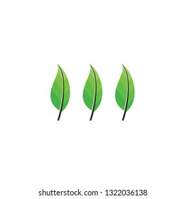 Triple Leaf logo design