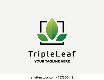 Triple Leaf Logo Template Design Vector, Emblem, Design Concept, Creative Symbol, Icon