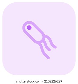 Triple strand virus with a bacterial host Layout
