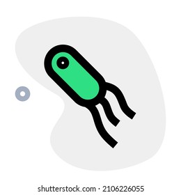 Triple strand virus with a bacterial host Layout