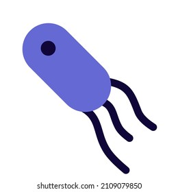 Triple strand virus with a bacterial host Layout