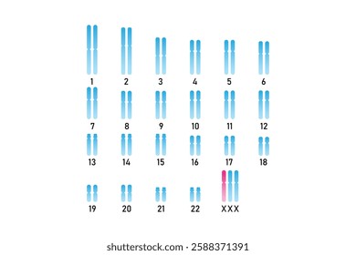 Triple X Syndrome Science Design. Vector Illustration.