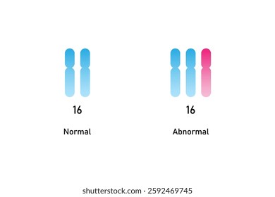 Trisomy 16 Syndrome Science Design. Vector Illustration.