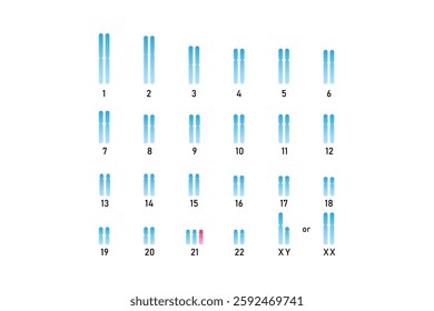 Trisomy 21 Syndrome Science Design. Vector Illustration.