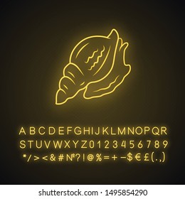 Triton neon light icon. Large mollusk with spiral shell. Tropical seashell. Underwater inhabitant. Aquatic mollusk. Glowing sign with alphabet, numbers and symbols. Vector isolated illustration