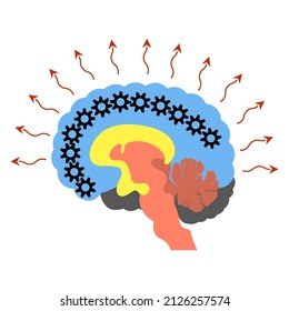 The Triune Brain. Diagram of divisions.Limbic, reptilian and neocortex. Thinking process. Gears in the head. Vector illustration.