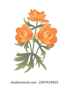 Trollius europaeus, asiaticus, globe yellow flower alpine meadows. Botanical illustration in flat style, plant. For Easter stickers, posters, postcards, design elements. World Endangered Species Day