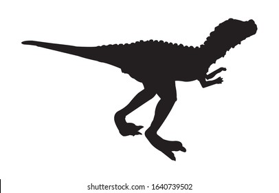 Troodon Dinosaur Silhouette on White Background