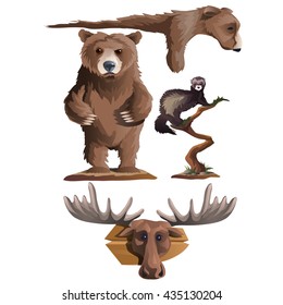 Trophies of the hunter. Stuffed wild animals. Vector.