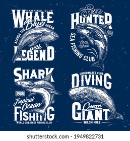 Trophy fishing and ocean diving club t-shirt print template. Blue whale, orca or killer whale and hammerhead shark, cachalot engraved vector. Clothing prints with ocean big mammal and marine predator