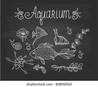Tropic aquarium