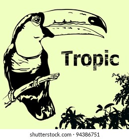 Tropic backgraund Tukan