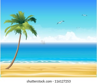 Tropic beach with palm trees