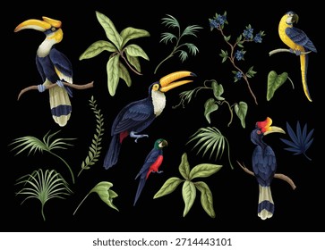 Vector de aves tropicales aislados loros exóticos tucanes cacatúas colorida ilustración de vida silvestre conjunto de colección.