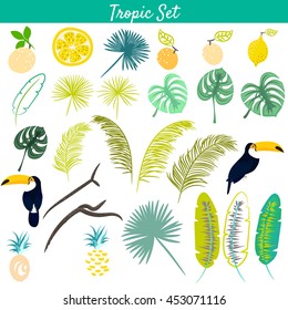 Tropic clip art vector set. Toucan birds, pineapples, jungle and banana leaves. Monstera palm tree branches.