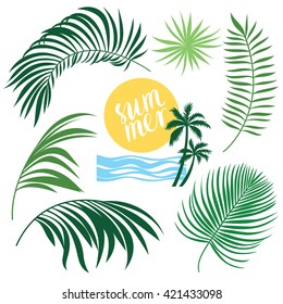 Tropic Collection, tropical leaves set, vector illustrations