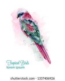 Tropic colorful parrot bird Vector watercolor. Cute bird illustration. blue colors splash