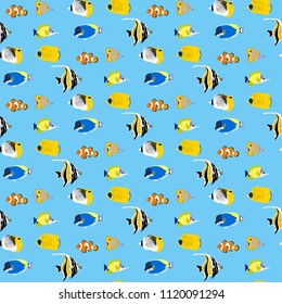 Tropic coral fish seamless pattern