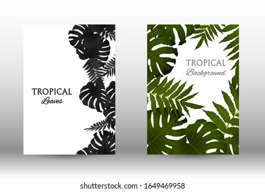 Tropic covers set. Colorful tropical leaves patterns. Exotic botanical design.  Abstract nature background. Texture background. Summer vector illustration.