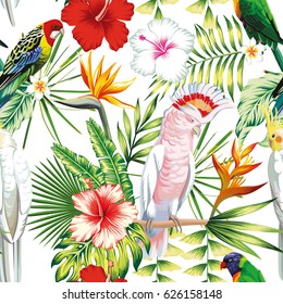 Tropic exotic multicolor birds parrot, macaw with tropical plants, banana palm leaves, flowers Strelitzia, hibiscus on a white background. Print jungle seamless vector pattern