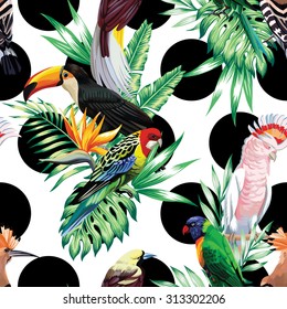 Tropic exotic multicolor birds toucan, parrot, macaw, hoopoe with tropical plants, banana palm leaves, flowers Strelitzia on a white background with black circle. Print jungle seamless vector pattern