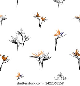 Tropic floral seamless pattern with beautiful strelitzia flowers. Tropical wallpaper collection. Sketch in watercolor style. Hand drawn line on white background.