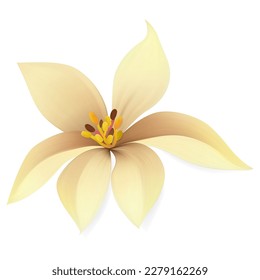Tropic flower vector. Exotic plant isolated vector illustration