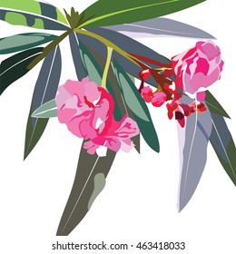Tropic flowers branch Vector card. Tropic Exotic floral background