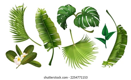 Flores trópicas, plantas exóticas, elementos realistas de hoja de spa. Selva verde, orquídea botánica natural, follaje de monstera. Playa florida. Elementos aislados del verano 3d. Conjunto exacto de ilustraciones del vector