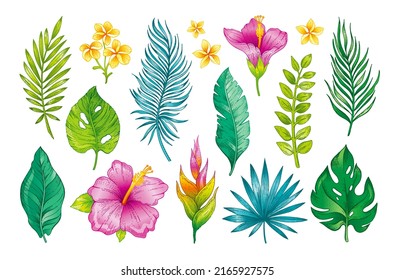 Tropic flowers, leaves watercolor vector. Tropics leaf and hibiscus plant sticker. Simple tropical palm. Jungle flat floral hawaiian logo.   Spa vector for Hawaii Bali Brazil. Isolated exotic abstract