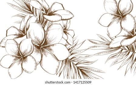 Tropic flowers summer background Vector line art. Vintage style