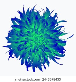 Tropic flowers vector. Hawaiian hibiscus and exotic aloha plants isolated illustration