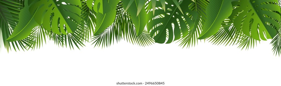 Tropic Frame With Palm Leaf Border And White Background With Gradient Mesh, Vector Illustration