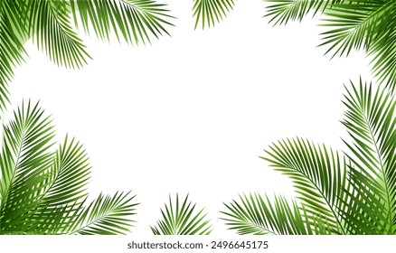 Tropic Frame With Palm Leaf Borders With Gradient Mesh, Vector Illustration