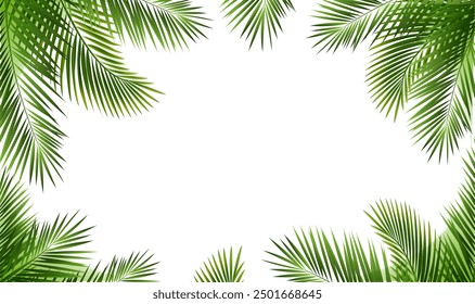 Tropic Frame With Palm Leaf Borders With Gradient Mesh, Vector Illustration