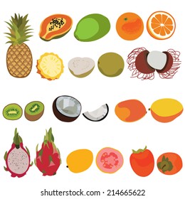 Tropic fruit isolated vector set illustration. Flat style vector set of fruits. Pineapple, papaya, orange, guava, rambutan, kiwi, coconut, mango, dragon fruit, persimmon fruits vector set.