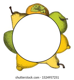 Tropic and garden Fruit: apple, pear, persimmon, lemon. Frame of fruits in vintage style. Hand drawn vector illustration for packaging organic and natural products.