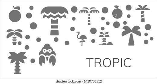 tropic icon set. 11 filled tropic icons.  Simple modern icons about  - Orange, Palm tree, Flamingo, Coconut tree, Hermit crab