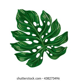 Tropic leaf