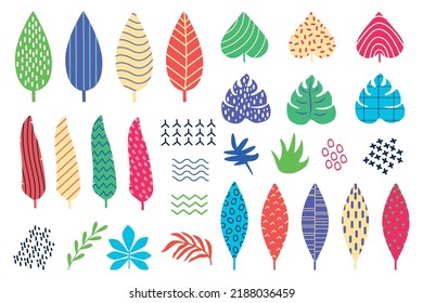 Tropic leaf. Abstract palm elements set. Geometric summer leaves. Tribal floral design. Colorful patterned foliage shapes. Isolated trendy botanical art. Vector modern minimal texture