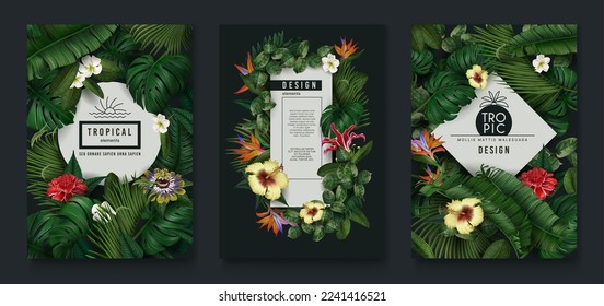 Tropic leaf banner, green jungle plants and exotic flowers. Nature frame with banana and monstera foliage, forest coconut palm, posters with realistic elements. Vector exact flyer design - Shutterstock ID 2241416521