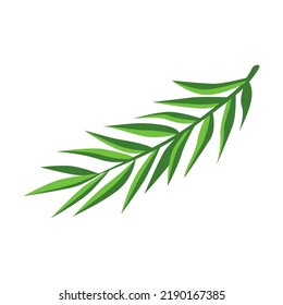 Tropic leaf in cartoon style illustration. Exotic plants vector isolated on white back. Jungle foliage decoration