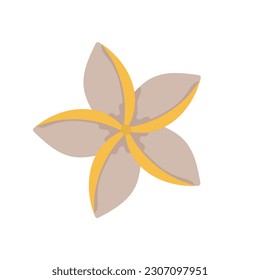 Tropic leaf, flower, colorful handrawn flat illustration