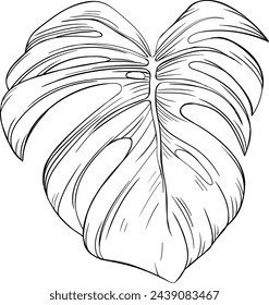 Hoja tropical dibujada a mano. Arte de tinta grabada en blanco y negro. Elemento de ilustración de hoja aislada sobre fondo blanco.