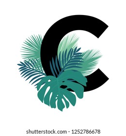 tropic leafs, letter c