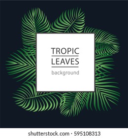 Tropic leaves background 
