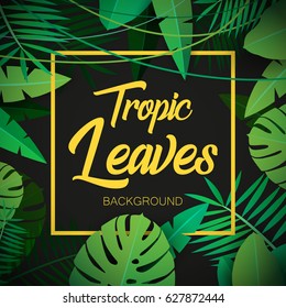 tropic leaves background