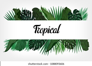 Tropic leaves background with frame for your text. Eps10 vector template.