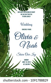Tropic leaves background with frame for your text. Eps10 vector template.